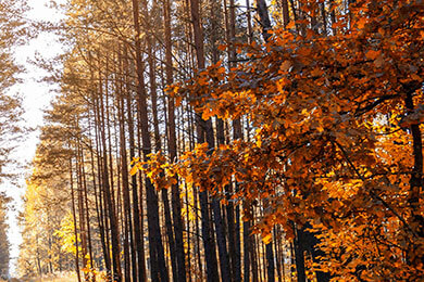 开云体育登录-热火强势中国男篮，布克关键制胜