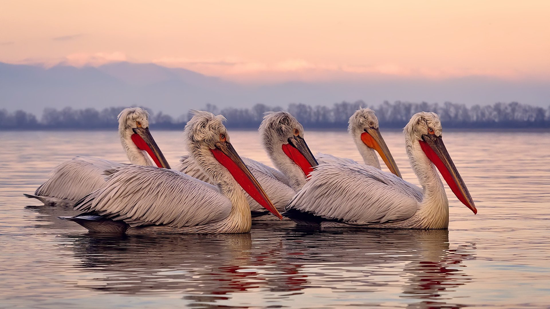从失点到救赎，厄德高在美加墨世界杯之夜完成涅槃重生